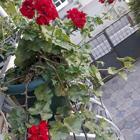 Homestay Izolda Batumi Bagian luar foto
