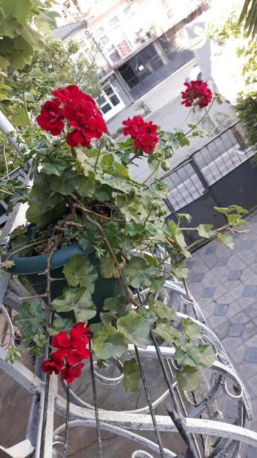Homestay Izolda Batumi Bagian luar foto